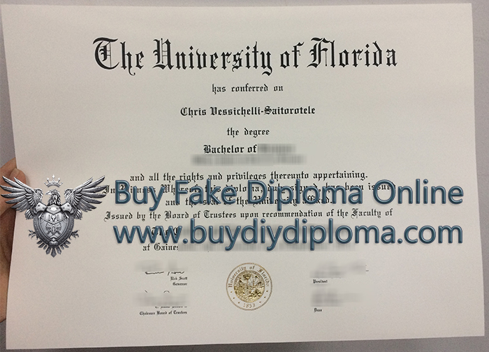 University Of Florida Diploma