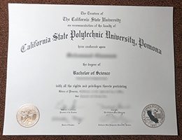 Cal Poly Pomona Diploma certificate