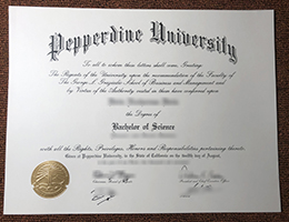 Pepperdine University degree