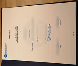 Høgskolen i Molde degree certificate