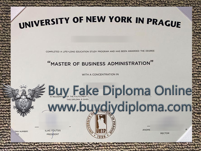 University Of New York In Prague degree