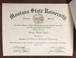 Montana State University diploma certificate