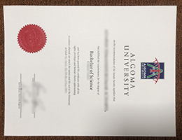 Algoma University degree