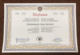 Ankara University diploma certificate