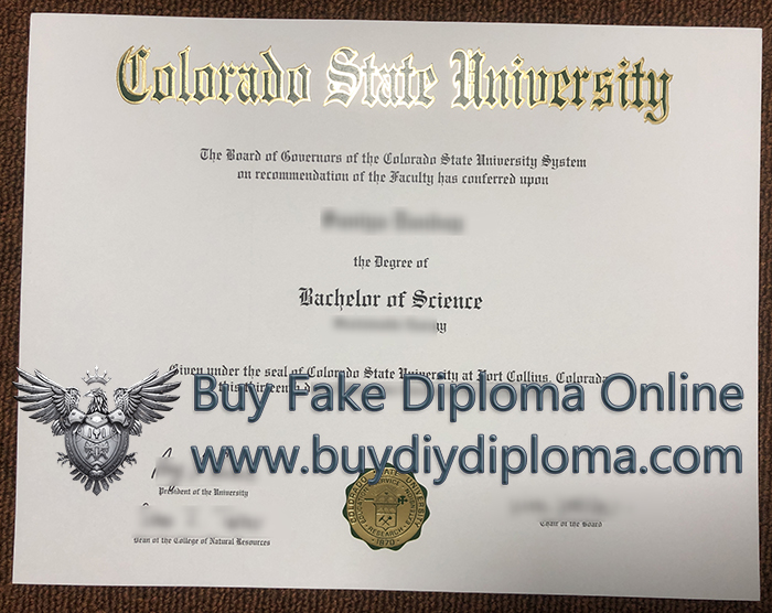 CSU diploma