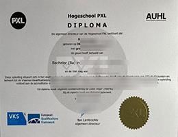 Hogeschool PXL diploma certificate