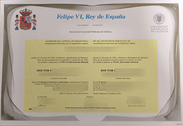 Universitat Politècnica de València degree certificate