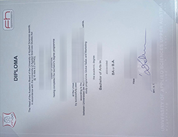 University of Applied Sciences Upper Austria degree certificate