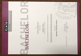 Kiel University diploma certificate