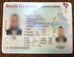 South Carolina Driver’s License