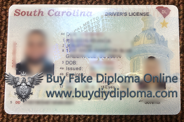 South Carolina Driver’s License