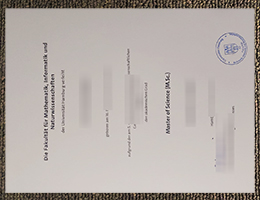 Universität Hamburg diploma