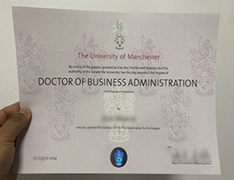 University Of Manchester Doctor Degree