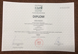 Česká zemědělská univerzita v Praze diploma sample