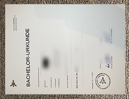 Hochschule RheinMain diploma certificate