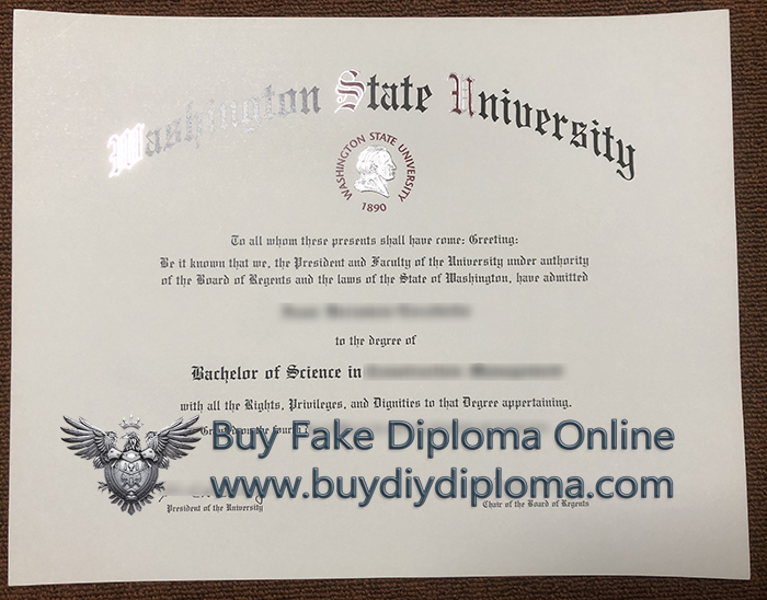 WSU BSc diploma