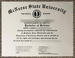 McNeese State University degree