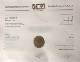 Notre Dame University–Louaize Diploma Certificate