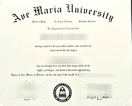 Ave Maria University degree certificate