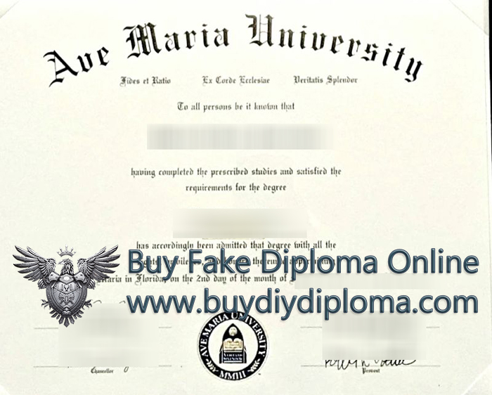 Ave Maria University degree