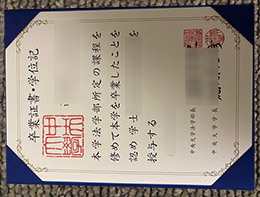 Chuo University diploma sample