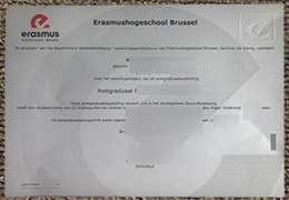 Erasmushogeschool Brussel degree certificate