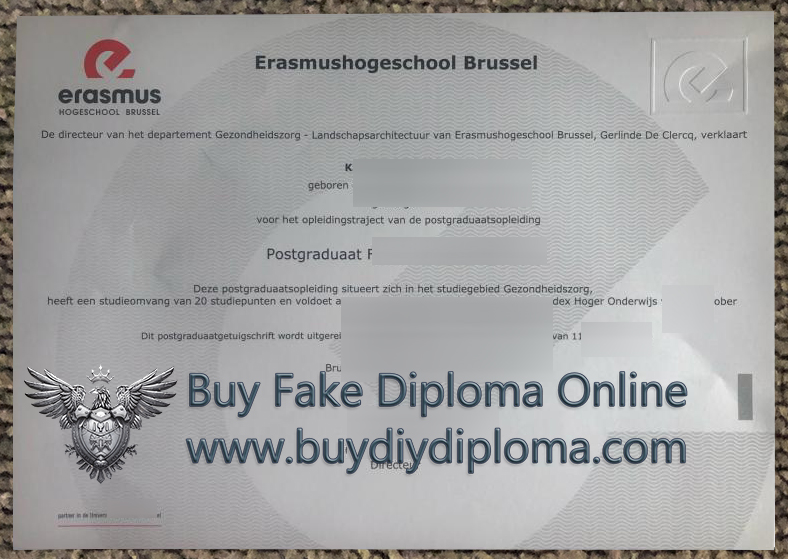 Erasmushogeschool Brussel degree