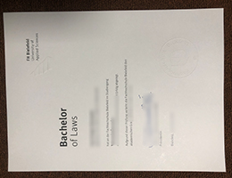 FH Bielefeld University Of Applied Sciences Diploma Sample