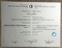 Middle East Technical University diploma sample