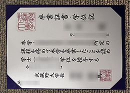 Musashino University degree certificate