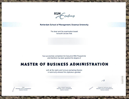 Rotterdam School of Management degree sample