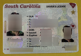 South Carolina driver’s license sample