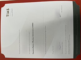 TIAS School For Business And Society diploma