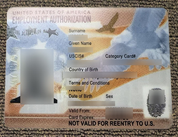 US Employment Authorization Card sample