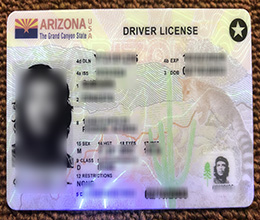 Arizona ID, Arizona Driver’s License