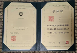 Chubu University degree certificate