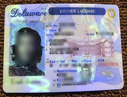 Delaware ID(Driver’s License) sample