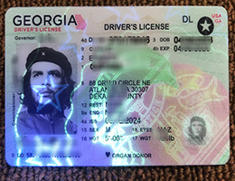 Georgia ID, Georgia Driver's License