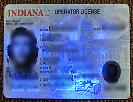 Indiana ID, Indiana Operator's License