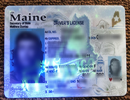 Maine ID (Driver’s License) sample