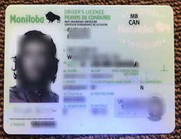 Manitoba ID (Driver’s License)