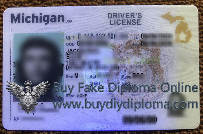 Michigan ID (Driver’s License)