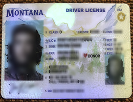 Montana ID (Driver’s License) sample