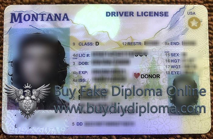 Montana ID (Driver’s License)