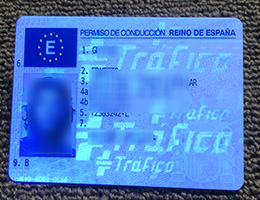 Permiso De Conduccion Reino De Espana sample