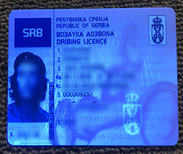 Serbia Driver’s License