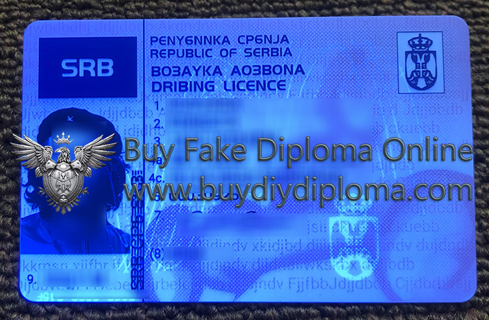 Serbia Driver’s License