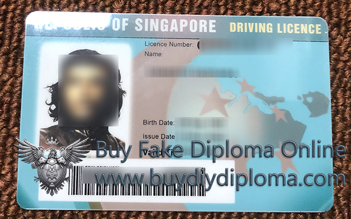 Singapore Driving License