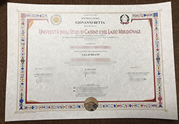 UNICAS diploma, University of Cassino and Southern Lazio degree