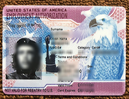 US Employment Authorization card